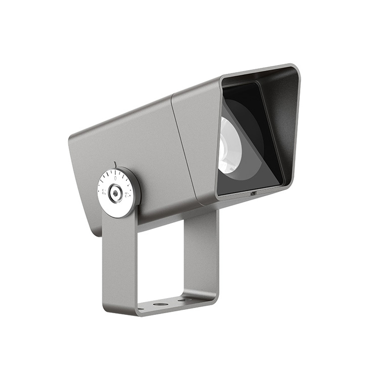 Z80 Multi‑Mount Floodlight