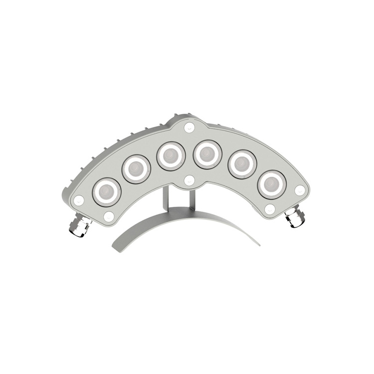 CTL-CLZG18-M2 Building accent light