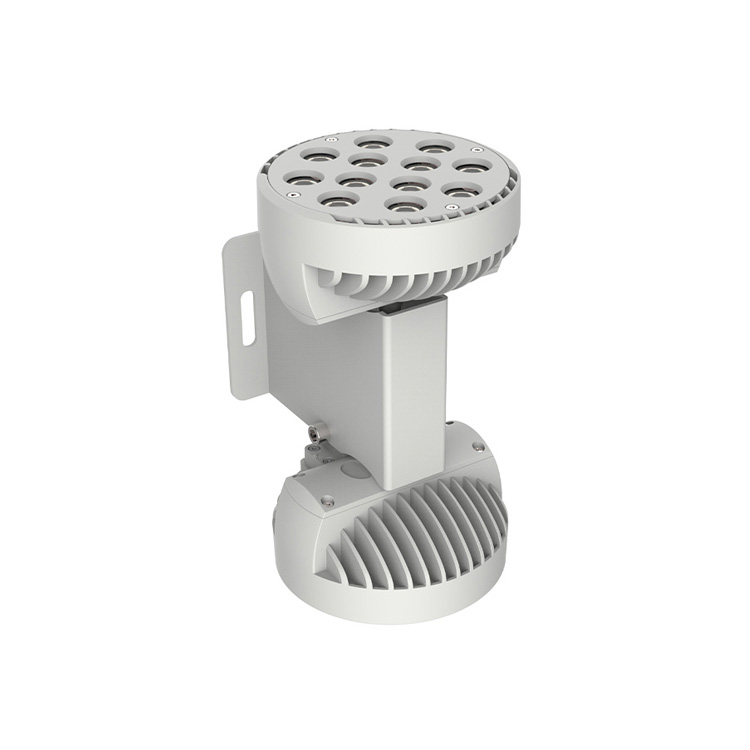 CTL-WYZ18-M1 Building accent light